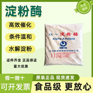 山东隆科特 淀粉酶 食品级阿尔法淀粉酶酶制剂中温液化酶 2kg/包