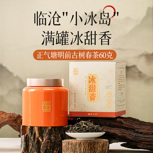 【品牌直营】澜沧古茶2024年冰甜香晒青茶云南古树茶叶罐装60g