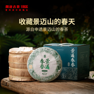 品牌直营 澜沧古茶2022年景迈春香普洱茶生普茶七子饼茶357g
