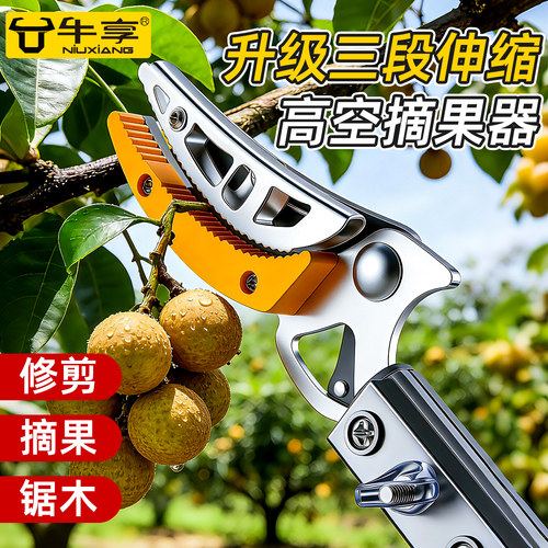 伸缩杆摘果剪采杨梅荔枝高枝剪