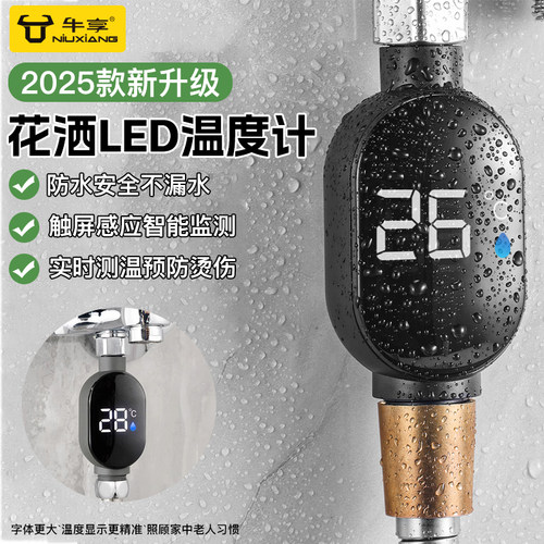 家用式花洒LED温度计水温器