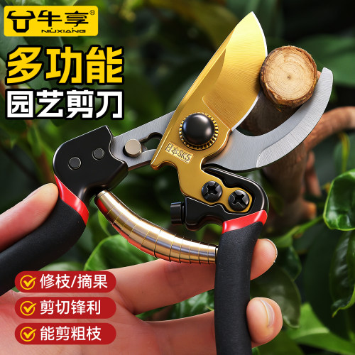 剪枝刀花艺修剪果树园艺工具