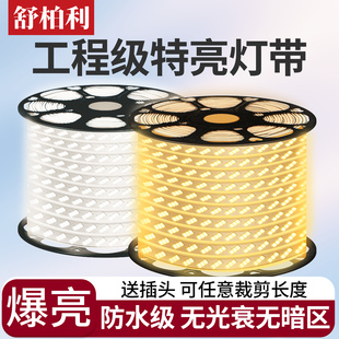 超亮led灯带220v户外防水线形灯家用客厅吊顶工程商用软灯条照明