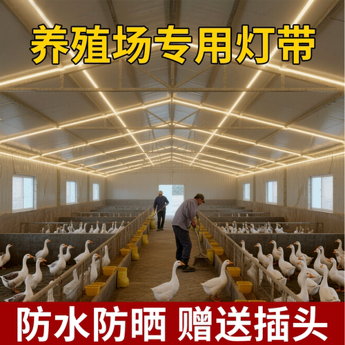 养殖场户外防水超亮LED灯带