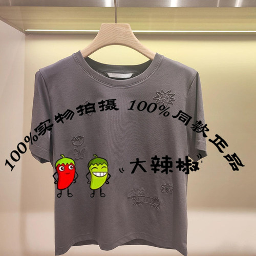 BDS2YD2528衣播女装休闲风联名航海百搭绣花圆领短袖T恤眺望远方