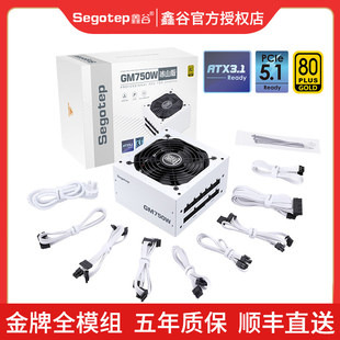 鑫谷GM750W冰山版电脑电源台式机ATX金牌850W全模组650W主机电源