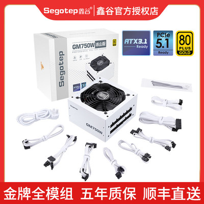 鑫谷GM750W冰山版全模组电源