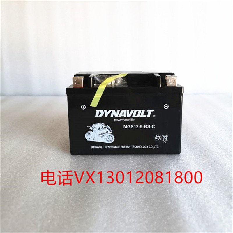 黄龙600BJ300光阳180/250GW250贝纳利金鹏502摩托车电瓶12v9A电池