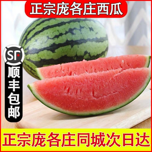 袖 北京龐各莊頭茬西瓜L600小吊瓜新鮮水果當(dāng)季 珍西瓜順豐次日達(dá)