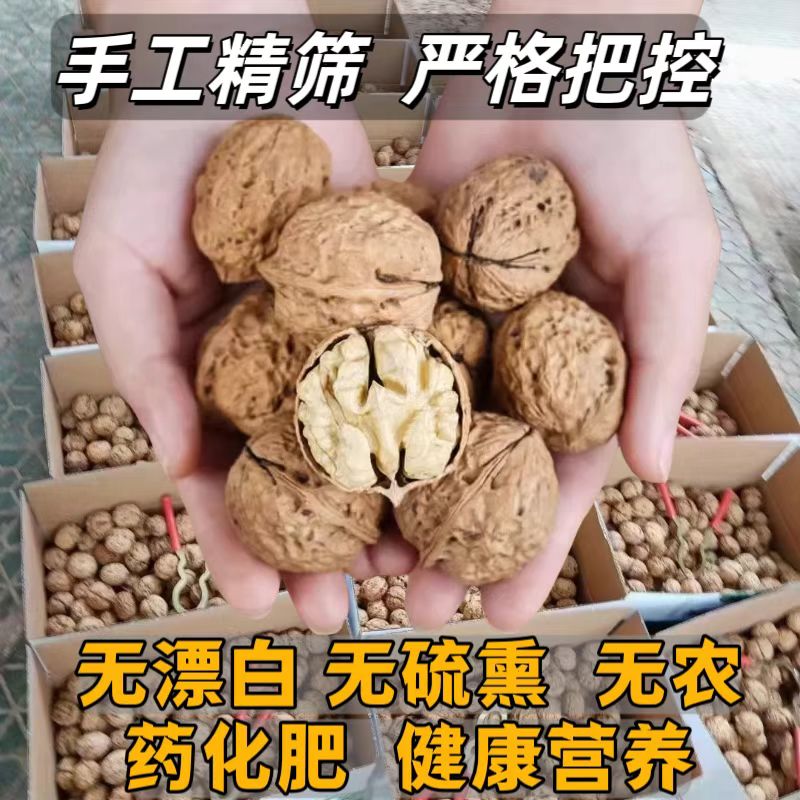 2025新货干核桃古树无漂白手剥孕妇吃云南纸皮薄皮山核桃原味坚果