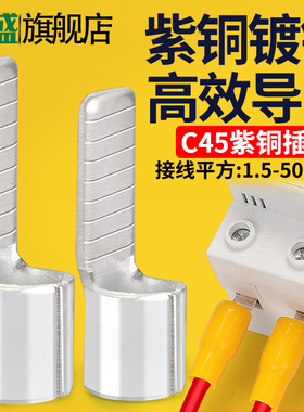 C45接线端子紫铜冷压插片插针式鸭嘴鼻DZ47空气开断路器并线接头