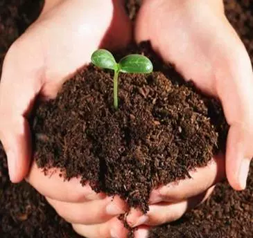 Органическая питательная почва