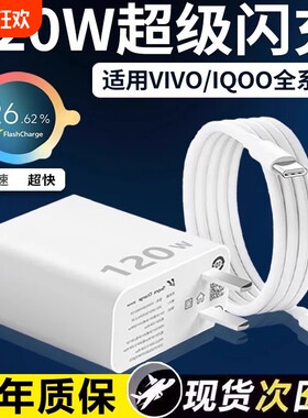 VIVOX90充电器120W瓦超级