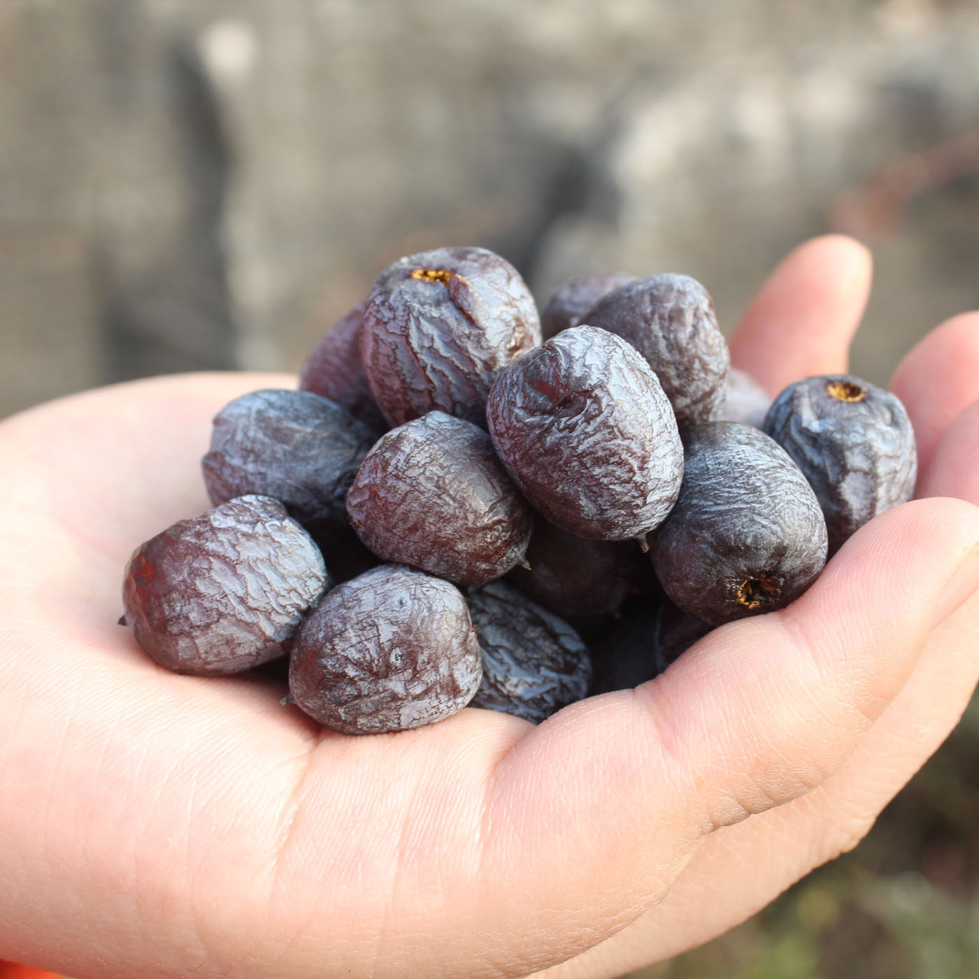 ��Ʒ�������Ұ�������Ǻ�«������ϴ�����и���ʳ��Ǩ�ӸɳԼ�ʳ 3�ﾫƷ�޺˺��桾85%����ѡ�� 48.9Ԫ