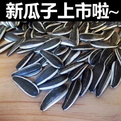 内蒙古5斤生瓜子清甜不油腻