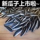 生瓜子葵花籽新货新鲜生葵花籽香瓜子原味散装 5斤大葵瓜子炒货熟