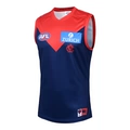 2025AFL067