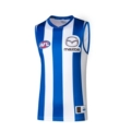 2025AFL-066