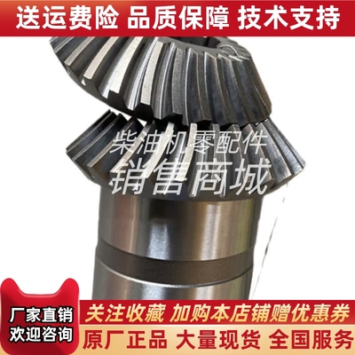 190系列柴油机配件发动机从动螺旋锥齿轮结合件 12VB.15.09B-GJ