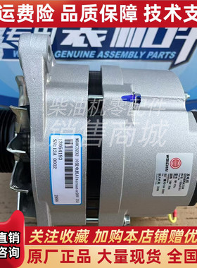 WP-FDJ潍柴WP4柴油发动机发电机组13054193发电机28V 35A原装
