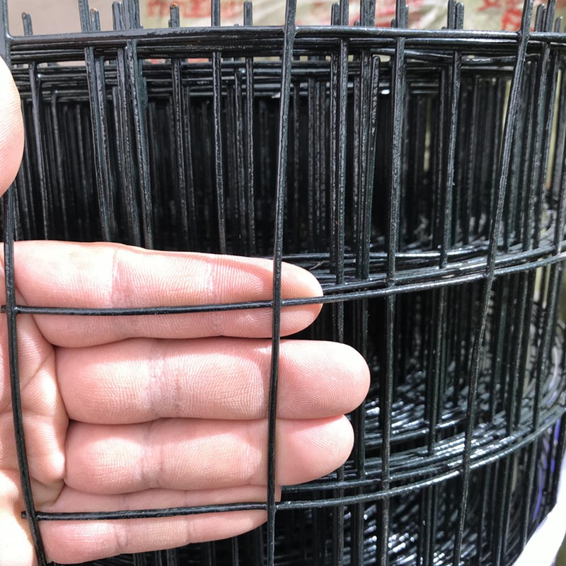硬塑荷兰网铁丝网护栏网围栏网荷兰网养鸡网防护隔离.网养殖圈地