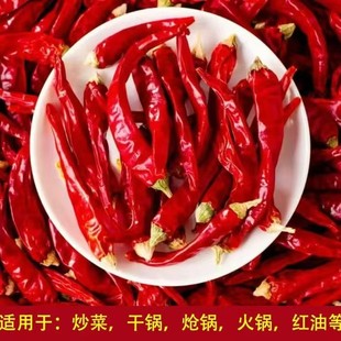 精品干辣椒高辣特香辣椒干红辣椒段艳椒829朝天椒干辣椒批发500g