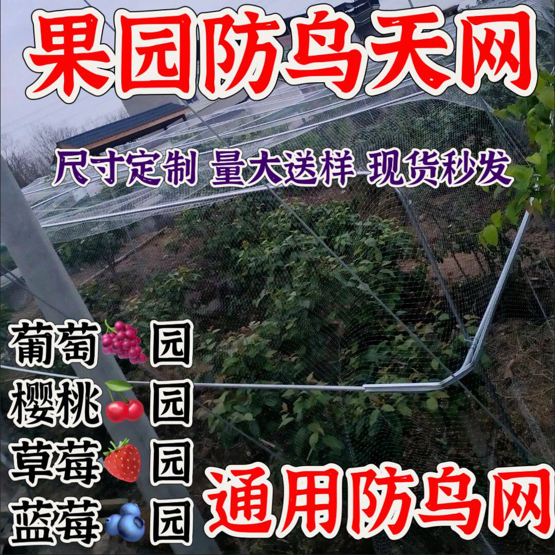 葡萄鸟防护网防鸟网果园果树通用防鸟天网户外大棚草莓葡萄樱桃鱼