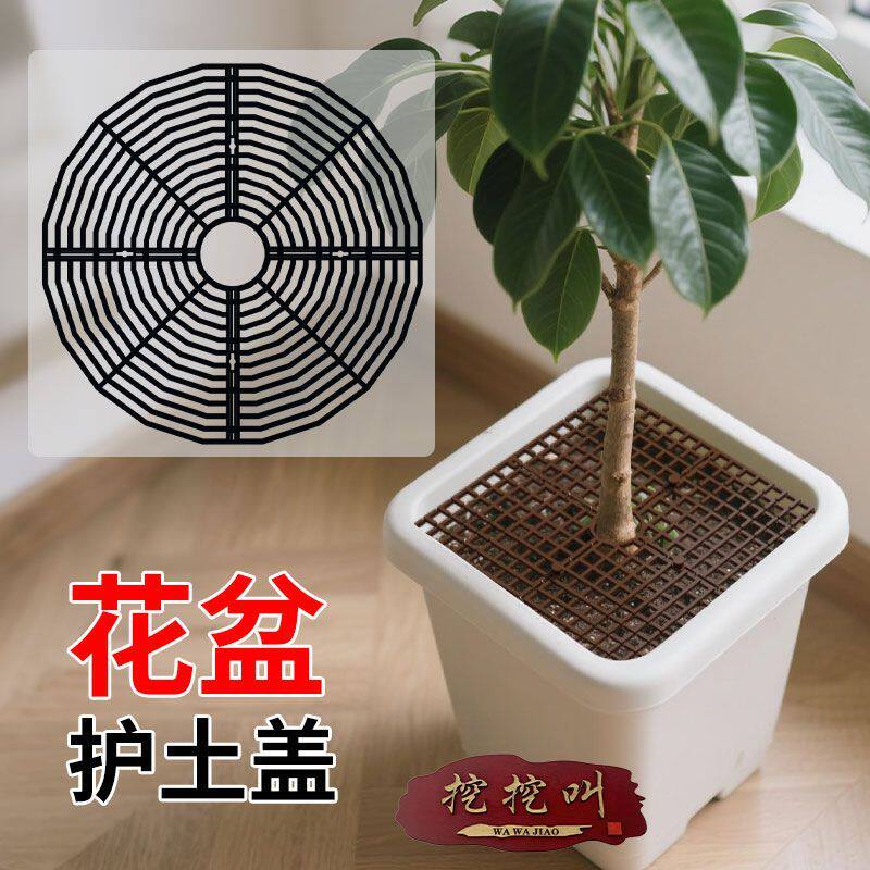 花盆防护罩花盆防猫抓盆栽固土镂空植物保护罩花盆护土盖防抓土大