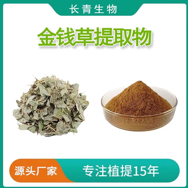 金钱草提取物20:1广金钱草连钱草提取物 天然植物工厂现货速发
