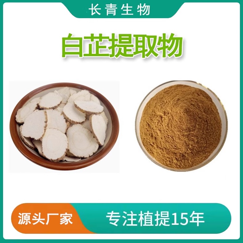 白芷提取物  高比例浓缩粉 白芷/香白芷提取 专业植物提取物