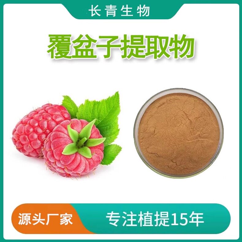 覆盆子提取物20:1 天然植物提取物 水溶性浓缩粉 原料粉末