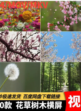 高清MP4花草树木绿色植物五颜六色鲜花盛开春天花朵唯美视频素材
