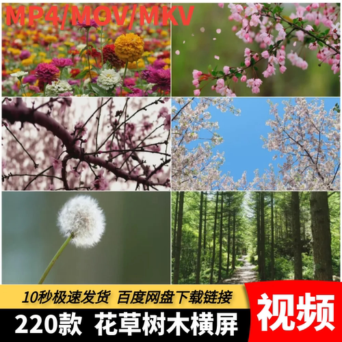 高清MP4花草树木绿色植物五颜六色鲜花盛开春天花朵唯美视频素材