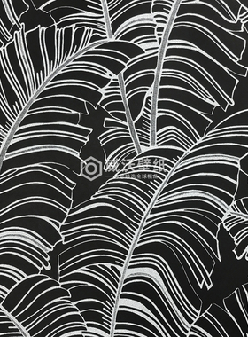 BAZAAR无纺布芭蕉叶背景墙纸壁纸G78297 78298 78299 78300 78301