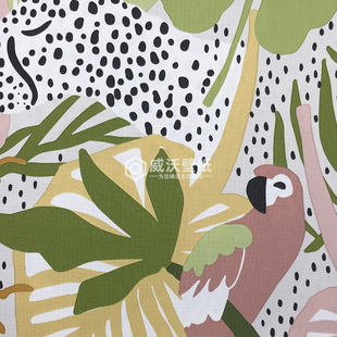 BN 进口DOODLEEDO 儿童卡通鹦鹉墙纸220720 220721 220722 220723