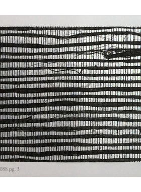 美国纯进口WQ墙壁纸BL72900 72902 72905 RH6067 6069 6088 6094