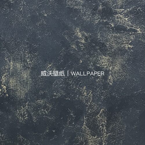 法国进口Caselio COLORBOX 3 黑金色 肌理感墙纸壁纸CB3100229998
