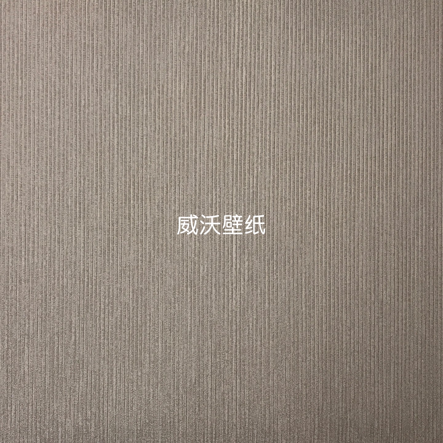 Cadenza新款全屋高级感无缝墙布AF26115 26132 26118 26117 26119