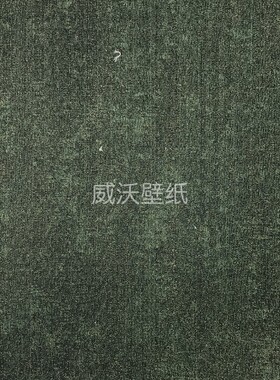 艾尔莎ELAS 现代轻奢无缝墙布AS113-09B-13B-18B-27B-33B-38B-45B