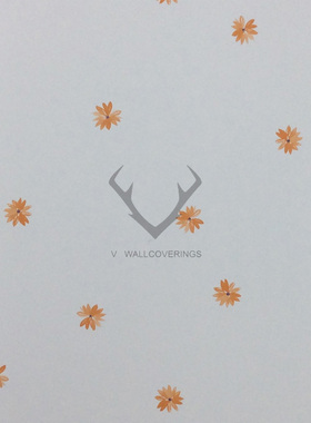 美国进口WQ纯纸儿童卡通小碎花女孩墙纸壁纸DA62801 62804 62813