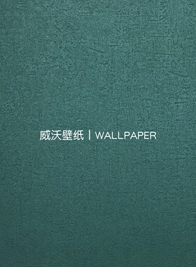 美绮 绮彩8全屋艺术漆肌理素色高级感无缝壁布Q8-113-114-116-119
