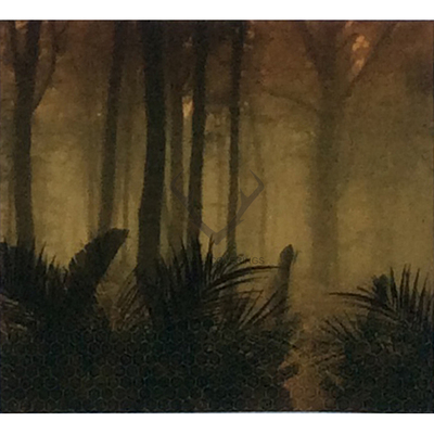 荷兰纯进口BN现代电视壁画墙纸壁纸200281 200283 200285 200287