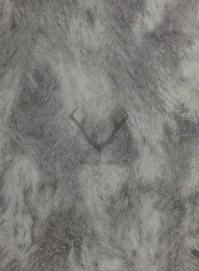 Eijffinger 墙纸壁纸300580 300581 300582 300583 300584 300585