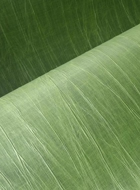 ARTE比利时进口褶皱织物墙纸38010A 38011A 38012A 38014A 38015A