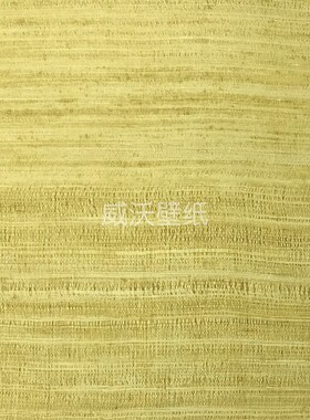 比利时ARTE 轻奢墙纸72020A 72021A 72023A 72025A 72029A 72031A