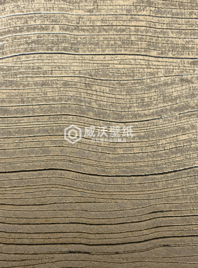 ARTE 比利时进口 Cameo背景墙纸壁纸54040A 54041A 54043A 54044A