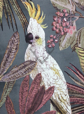 荷兰BN进口墙纸壁纸 220120 220121 220122 220123 220124 220125