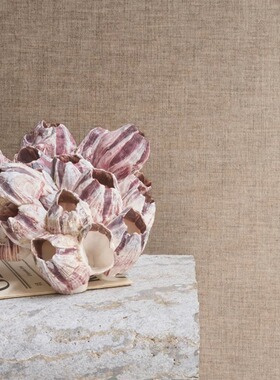 比利时进口OMEXCO 羊毛/水波纹织物/天鹅绒墙纸壁纸PU381 391 401