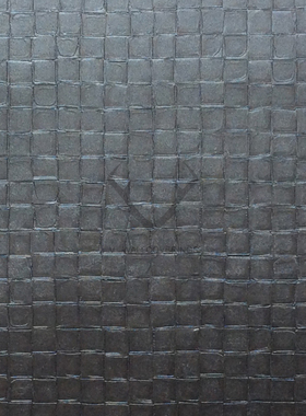 荷兰BN进口墙纸壁纸48499 48501 48505 48883 49100 49101 49103