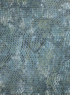 荷兰SKIN鳞片纹理墙纸壁纸300520 300521 300522 300523 300525